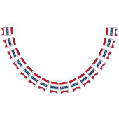 Americana Patriotic Stars & Stripes Celebration Wimpelkette (Alle)
