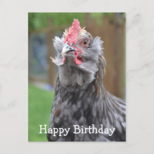 Americana Rooster Happy Birthday Postkarte