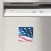 Amerika 10 magnet (In Situ (Geschirrspüler))