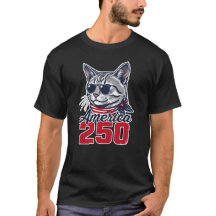 Amerika 250 Cooler Kater Patriotischer 4. Juli Kat