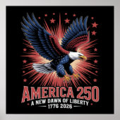 Amerika 250. Jubiläum Poster (Vorne)