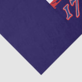 Amerika 250 seidenpapier (Detail)