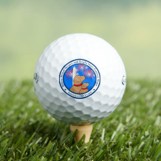 Amerika 250 Sonderausgabe DC Golfball
