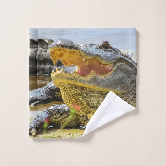 Amerika alligiert die Schließung. Angesicht Badhandtuch Set (Waschlappen)