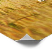 Amerika die schöne Printmedien Poster (Ecke)