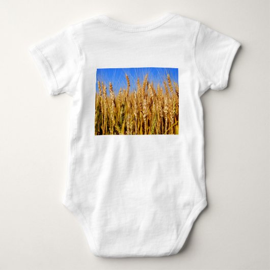 Amerika die schönen Shirts (Rückseite)