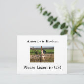 Amerika ist kaputt, Ple... Postkarte (Stehend Vorderseite)
