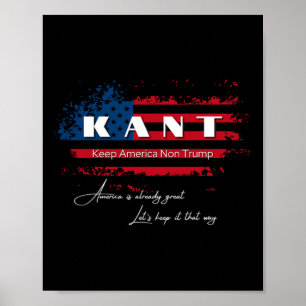 Amerika ohne Trump Funny Anti Trump 2024 Pro Democ Poster