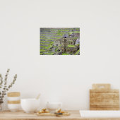 Amerika, Peru, Machu PIchu. Die alten 2 Poster (Küche)