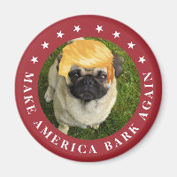 Amerika wieder zum Erliegen bringen | Ihr Hund mit