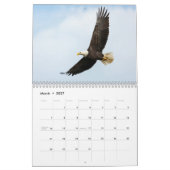 Amerika wird 250 2026 Semiquincentennial-Kalender Kalender (Mär 2027)