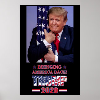 Amerika zurück bringen - Trump 2020 Poster