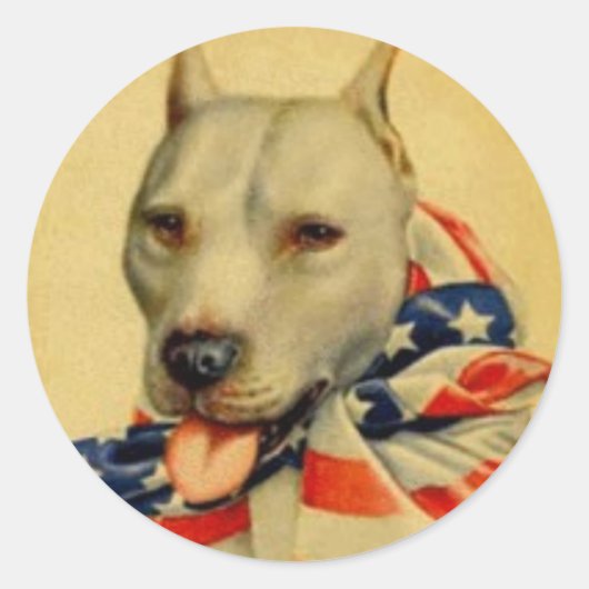AMERIKAN PIT BULL TERRIER STICKER (Vorderseite)