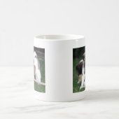 Amerikaner-Akita-Hündchen Kaffeetasse (Mittel)