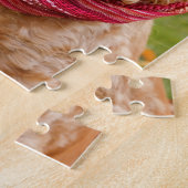 Amerikaner Cocker spaniel draußen am Herbst-Tag Puzzle (Seite)