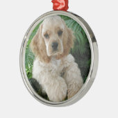 Amerikaner-Cocker spaniel-Hund und der grüne Farn Silbernes Ornament (Links)