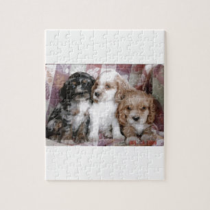 Amerikaner-Cocker spaniel-Welpen Puzzle
