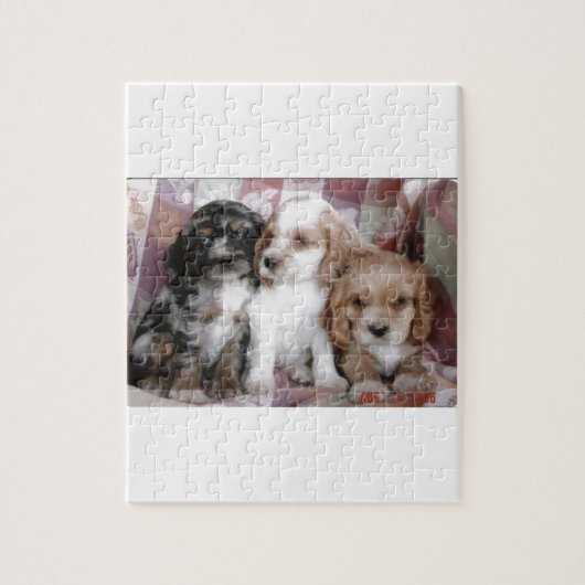 Amerikaner-Cocker spaniel-Welpen Puzzle (Vertikal)