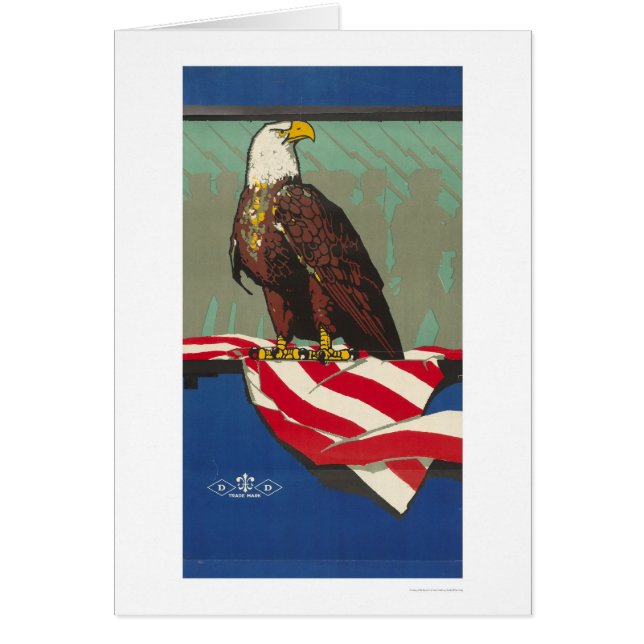 Amerikaner Eagle (Vorne)