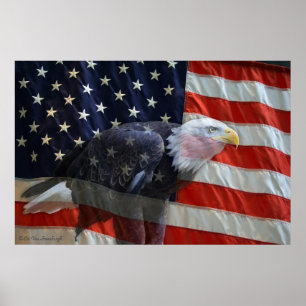 Amerikaner-Eagle-Flaggen-Druck Poster