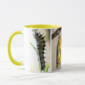 Amerikaner gemalte Dame Butterfly Lifecycle Coffee Tasse (Links)