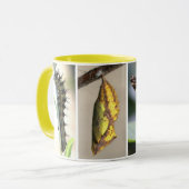 Amerikaner gemalte Dame Butterfly Lifecycle Coffee Tasse (Vorderseite Links)