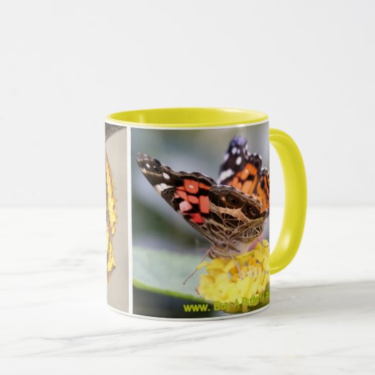Amerikaner gemalte Dame Butterfly Lifecycle Coffee Tasse (VorderseiteRechts)