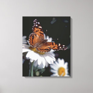 Amerikaner gemalte Dame Butterfly On Daisy Canvas Leinwanddruck