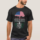 Amerikaner gewachsen mit nigerischen Wurzeln   T-Shirt (Vorderseite)