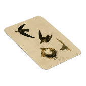 Amerikaner (Kamin) Swift Audubon, Vögel von Amerik Magnet (Rechte Seite)