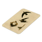 Amerikaner (Kamin) Swift Audubon, Vögel von Amerik Magnet (Linke Seite)