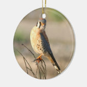 Amerikaner Kestel Keramik Ornament (Links)