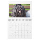 Amerikaner-Lhasas Apso Kalender Pt.2 der (Mär 2026)