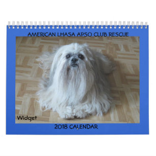 Amerikaner-Lhasas Apso Kalender Pt.2 der