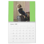 Amerikaner-Lhasas Apso Kalender Pt.2 der (Jan 2027)