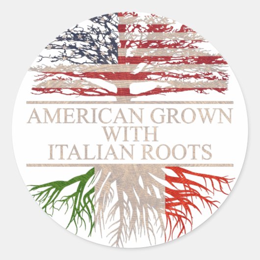 Amerikaner mit italienischer Wurzel Runder Aufkleber (Vorderseite)