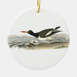 Amerikaner Oystercatches, John Audubon Keramikornament