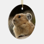 Amerikaner Pika Keramik Ornament (Rechts)