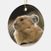 Amerikaner Pika Keramik Ornament (Links)