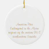Amerikaner Pika Keramik Ornament (Hinten)