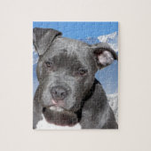 Amerikaner Pitbull Terrier Hündchen Puzzle (Vertikal)