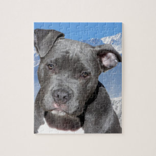 Amerikaner Pitbull Terrier Hündchen Puzzle