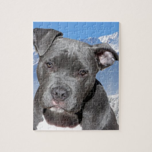 Amerikaner Pitbull Terrier Hündchen Puzzle (Vertikal)