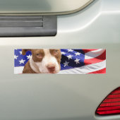Amerikaner Pitbull Welpe Autoaufkleber (Auf Auto)