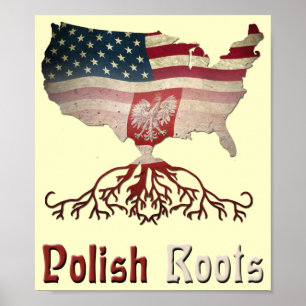 Amerikaner-polnisches Wurzel-Plakat Poster
