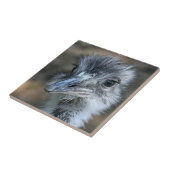 Amerikaner-Rhea-Porträt Fliese (Seite)