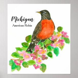 Amerikaner Robin Apple blühen Michigan Poster