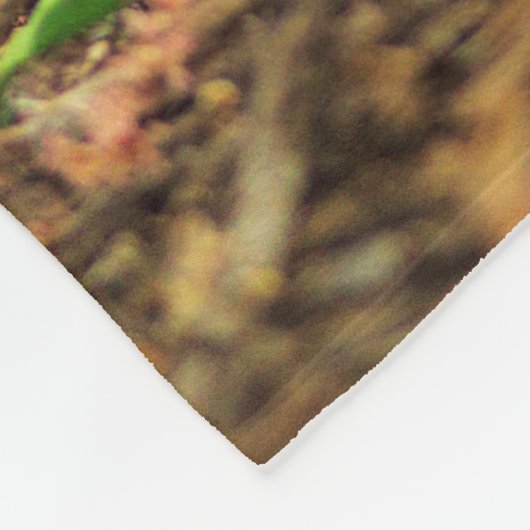 Amerikaner-Robin-Foto Fleecedecke (Ecke)