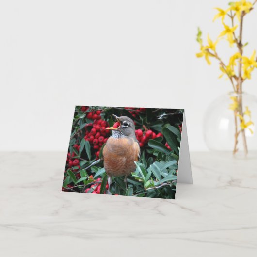 Amerikaner Robin • Joe Sweeney - Karte (Gelbe Blume)