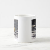 Amerikaner Robin Kaffeetasse (Mittel)